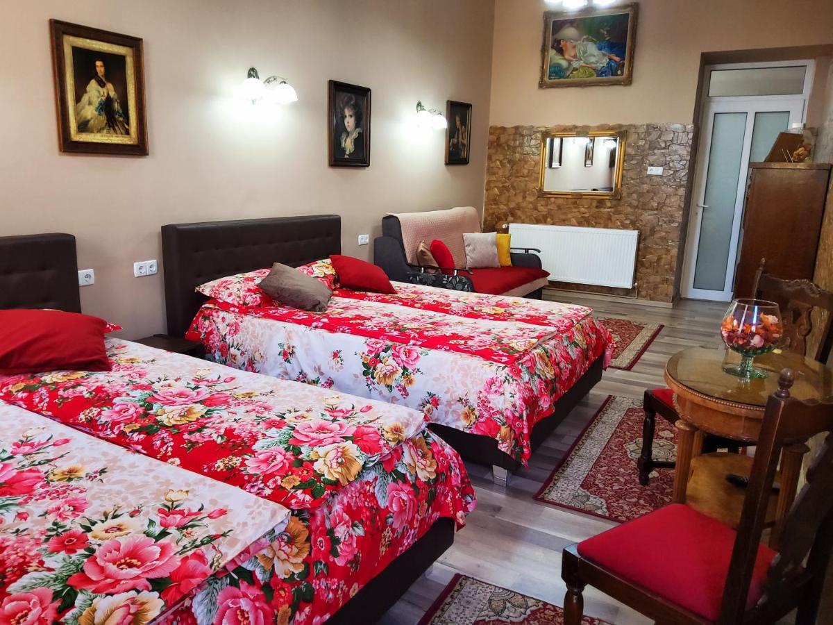Sissy Vendeghaz Hotel Tirgu Secuiesc Luaran gambar